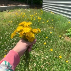 Meet your Posher, Dania